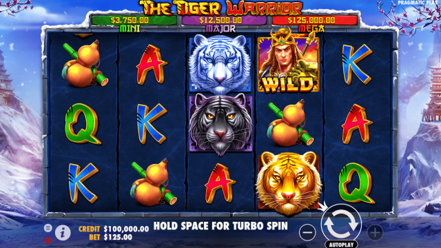 วิธีเล่นเกม The Tiger Warrior