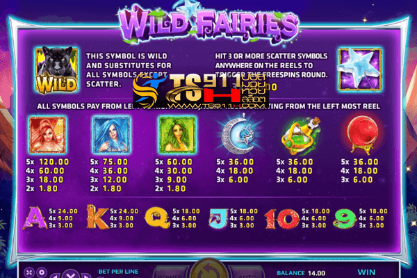 สัญลักกษณ์ และอัตราการจ่ายเงิน Wild Fairies