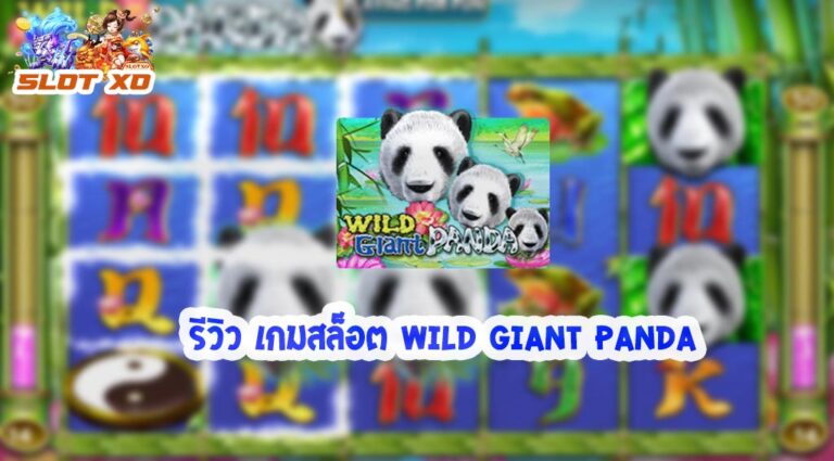 Wild Giant Panda-01-slotxo