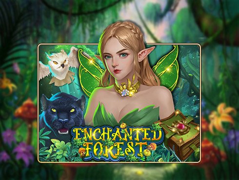 รีวิวเกม Enchanted Forest