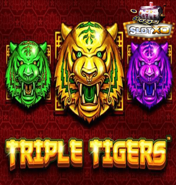 รีวิวเกม Triple Tigers