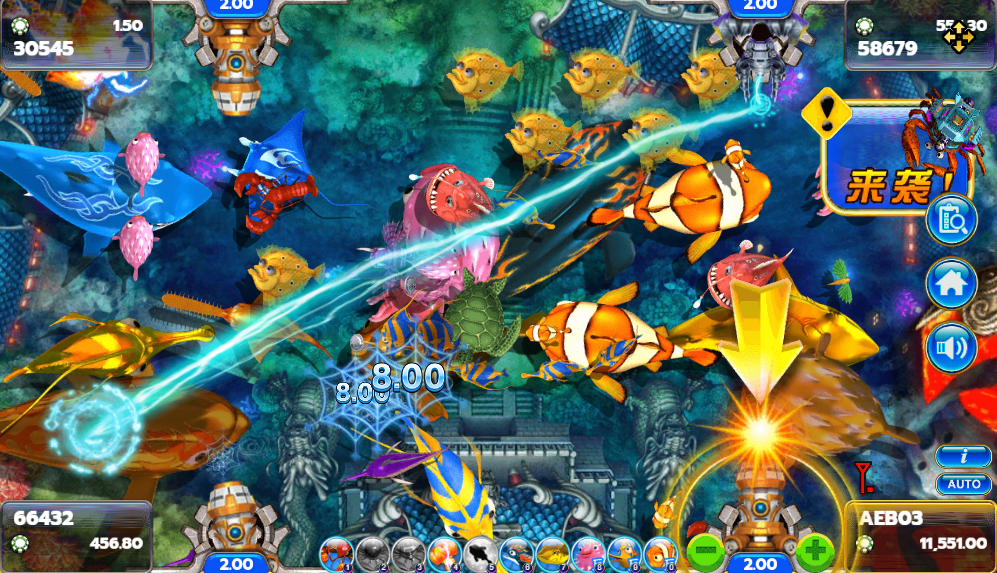 Fish Hunter 2 EX Novice